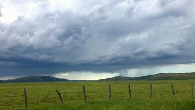 شتاء مخيب للآمال في ولاية شمال الراين