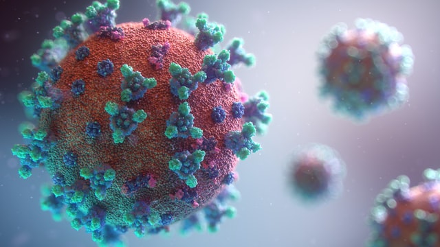 آخر تطورات فيروس كورونا هامبورغ للأربعاء 15.9.2021