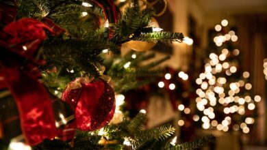 أسعار وأشكال أشجار عيد الميلاد هذا العام