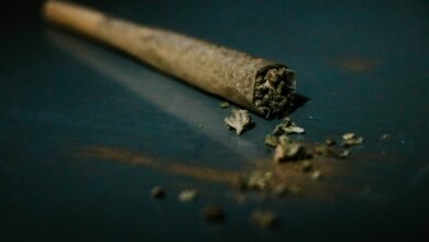 محاكمة 7 رجال في هانوفر لتهريب طن من الماريجوانا والحشيش إلى ألمانيا