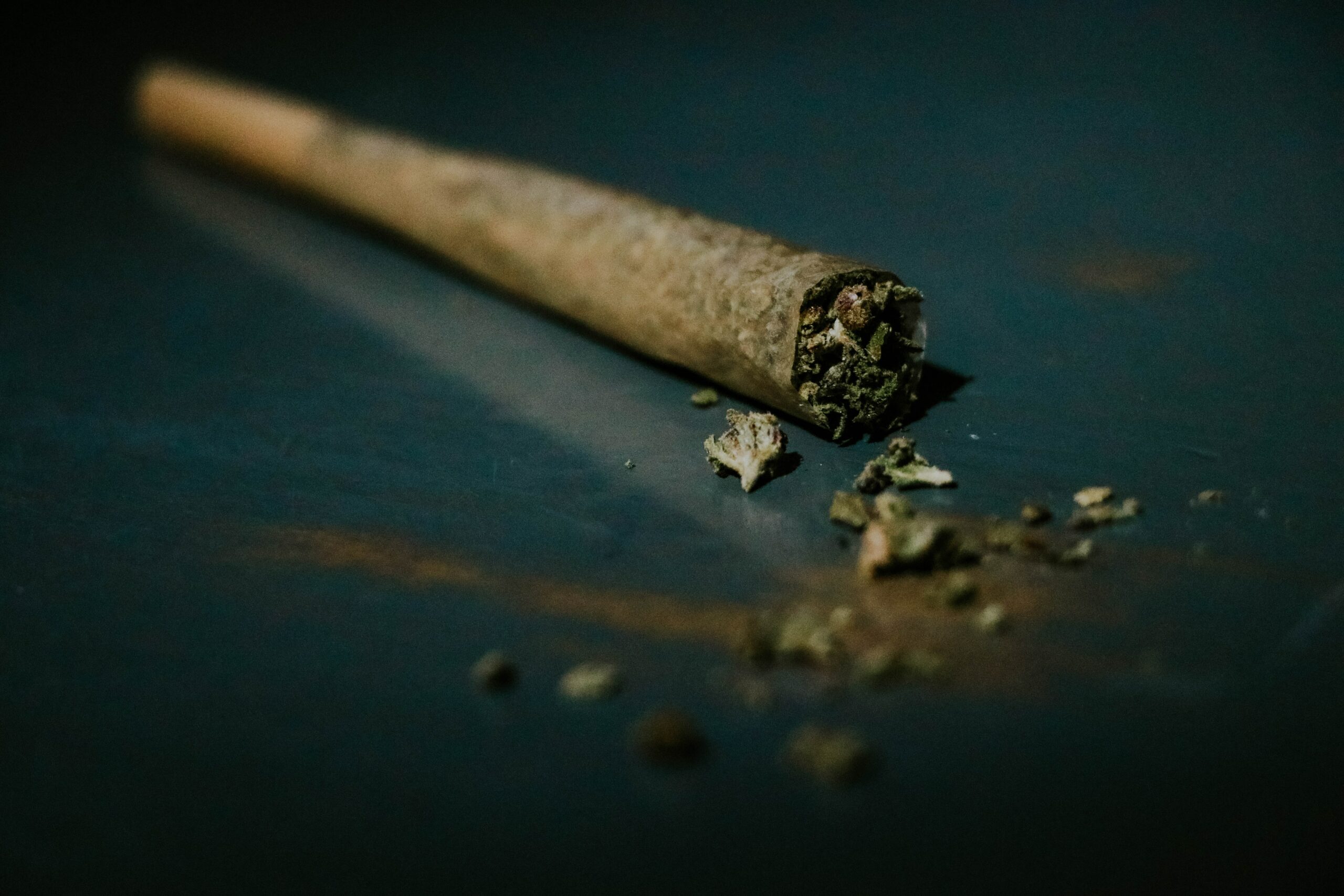 محاكمة 7 رجال في هانوفر لتهريب طن من الماريجوانا والحشيش إلى ألمانيا