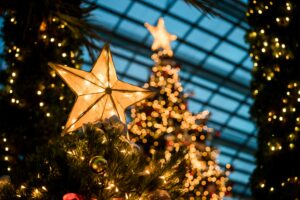فرانكفورت: أكبر شجرة لعيد الميلاد بالولاية