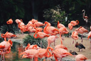 حديقة حيوانات دورتموند - Zoo Dortmund