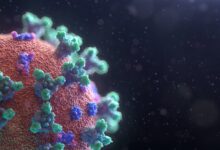 أحدث تطورات فيروس كورونا في هامبورغ وشليسفيغ هولشتاين للأحد 27 فبراير