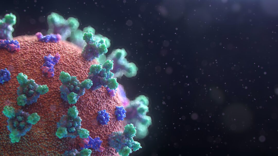 أحدث تطورات فيروس كورونا في هامبورغ وشليسفيغ هولشتاين للأحد 27 فبراير